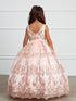 Little Girls Blush Glitter Mesh Overlay V Neck Pageant Dress 2-6 - SophiasStyle.com